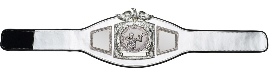PROEAGLE FEMALE BOXING CHAMPIONSHIP BELT - PROEAGLE/S/FEMBOXS - AVAILABLE IN 6+ COLOURS PROEAGLE FEMALE BOXING CHAMPIONSHIP BELT - PROEAGLE/S/FEMBOXS - AVAILABLE IN 6+ COLOURS
